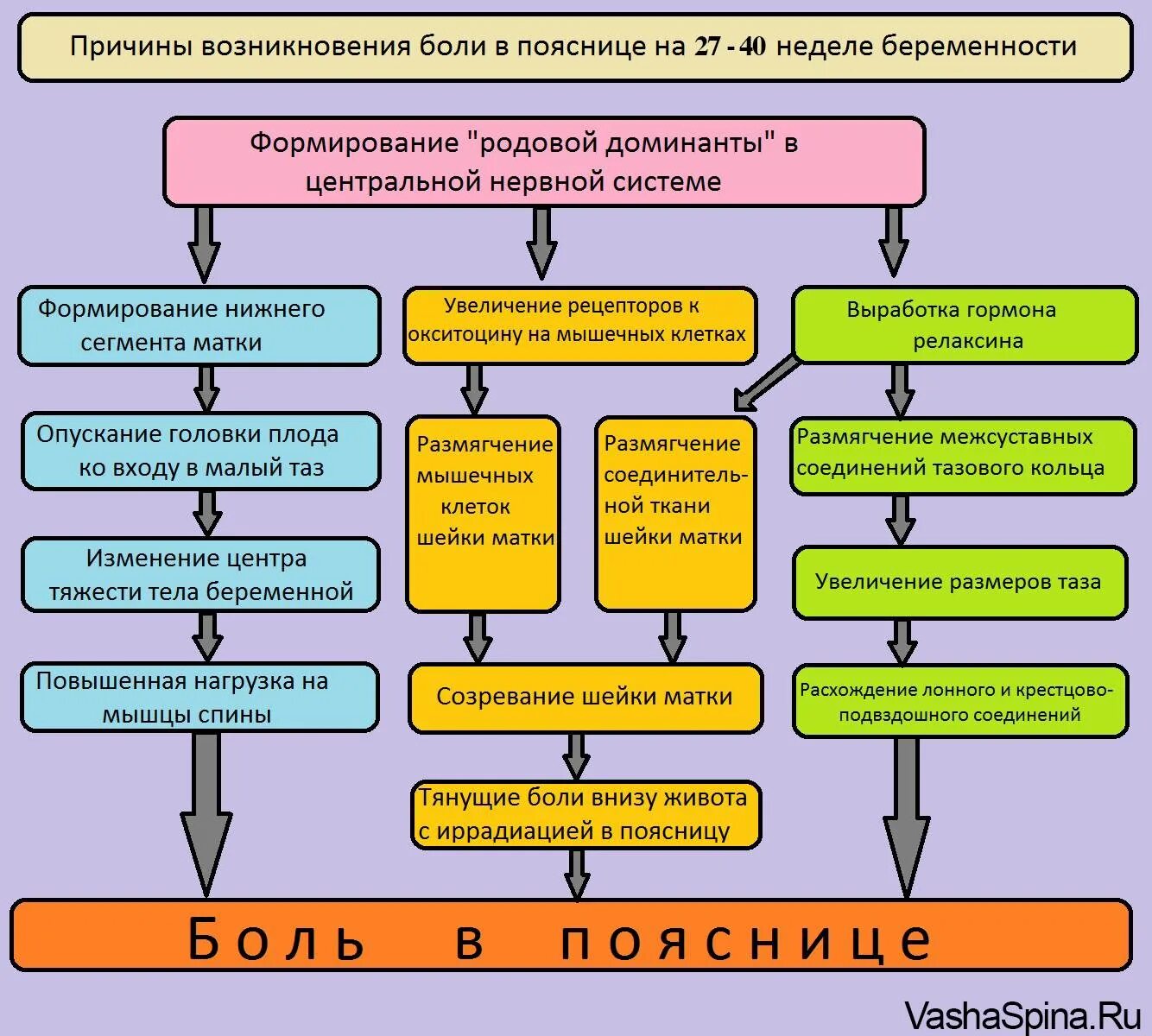 Болит низ живота при беременности. При беременности болит низ. Болит живот при беременности снизу. Болит низ живота беременность.