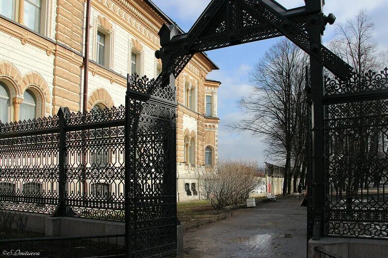 Сад Сан-Галли Санкт-Петербург. Питер сад Сан-Галли (Сангальский сад). Саду Сан-Галли на Лиговском проспекте. Сангальский сад на Лиговском проспекте. Сан гали в питере сад