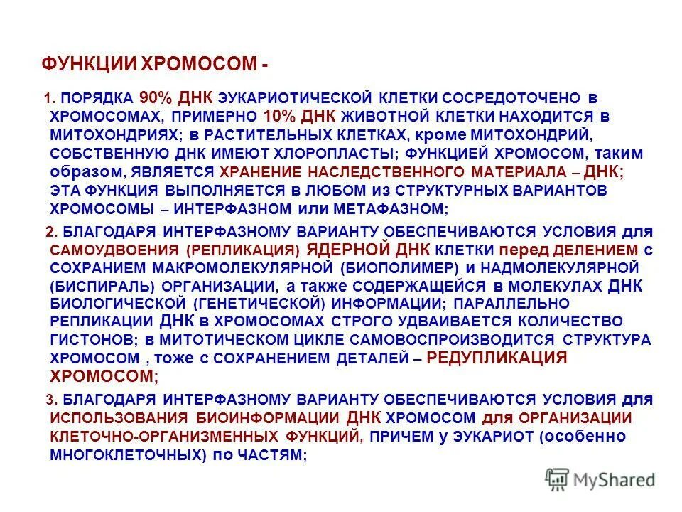Органоиды эукариотической клетки. Функции органелл эукариотической клетки. Строение клетки днк. Функции органелл эукариотической клетки. Структура хромосомы эукариот.
