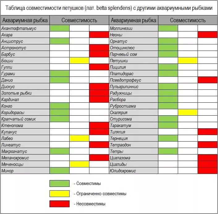 Петухи рыбы совместимость