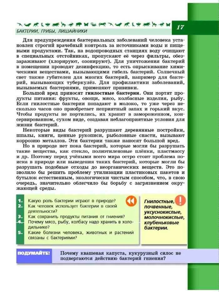 Как сохранить продукты от гниения. Текст по биологии. Как сохранить продукты питания от гниения. Как сохранить продукты питания от гниения 5. Как сохранить продукты питания от гниения 7 класс.