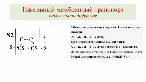 Пассивные мембраны