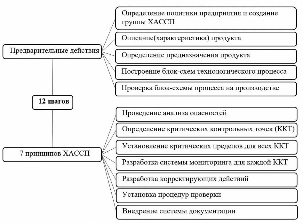 1 2 принципы и этапы. Этапы разработки и внедрения системы ХАССП. План внедрения системы ХАССП. Этапы создания системы ХАССП. Блок схема ХАССП.