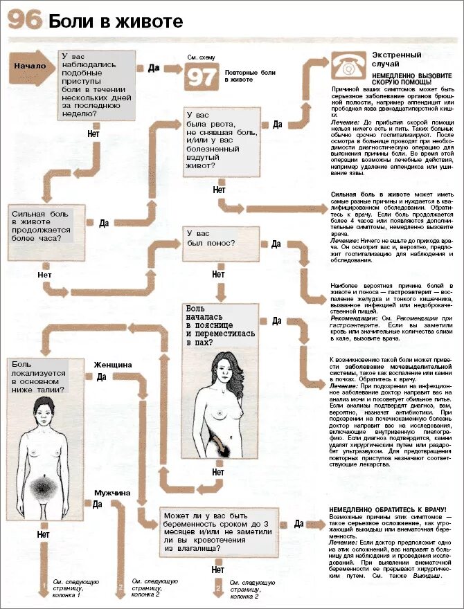 Болит внизу живота. Схема боли в животе. Схема болей в животе у женщин. Болит внизу живота у женщин. Боли сле
