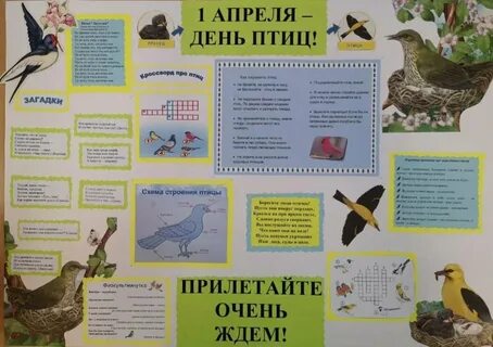 День птиц песни