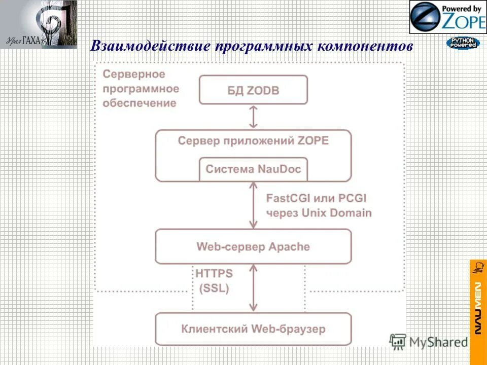 Аппаратные и программные компоненты. Аппаратно программное обеспечение сети. Какой из программных компонентов. Какой из программных компонентов. Взаимосвязь компонентов компьютера.