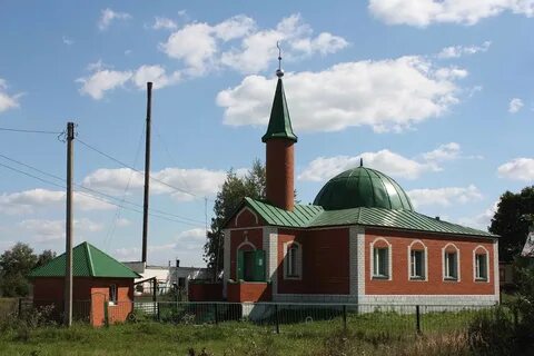 Мордовия лямбирский