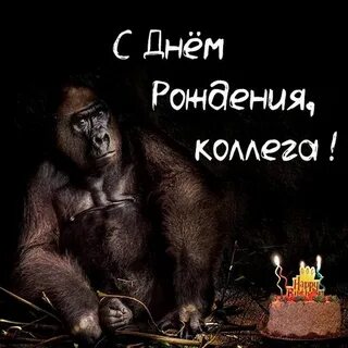 Смешная картинка с днем рождения кума