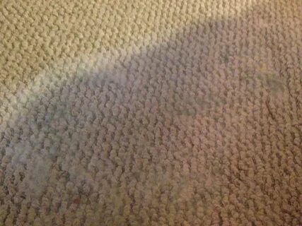 Mold on basement carpet (rental, house, tenants) - New Jersey (NJ) - City-Data F