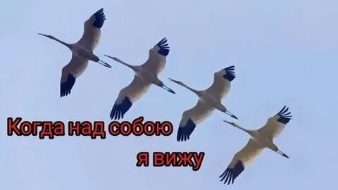 Песня и когда над ними