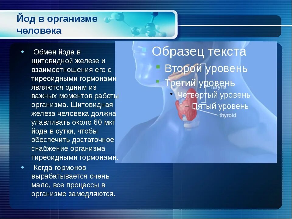 Роль йода в организме человека. Йод в организме человека. Влияние йода на организм человека. Йод воздействие на организм. Содержание йода в воде