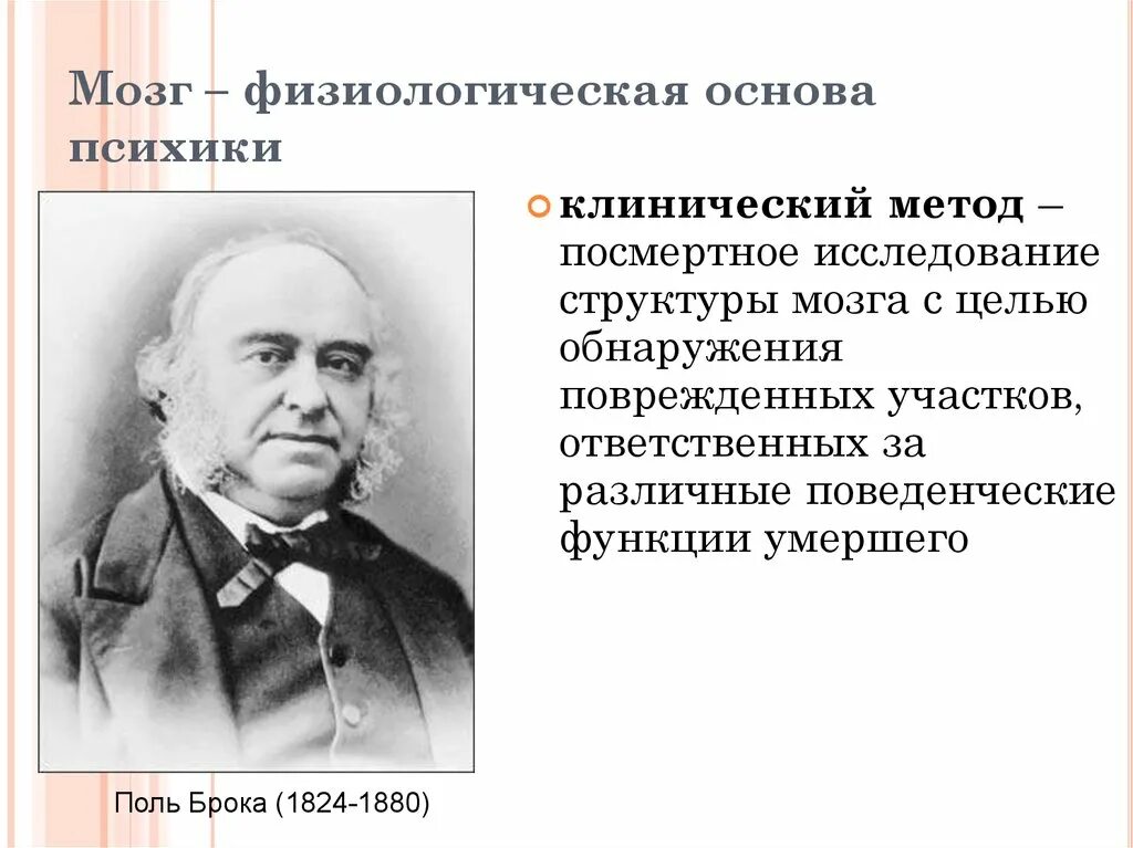 Поль Брока 1824-1880. Поль Брока область изучения в клинической психологии. Физиологические основы психики. Поль Пьер Брока. Поль брока