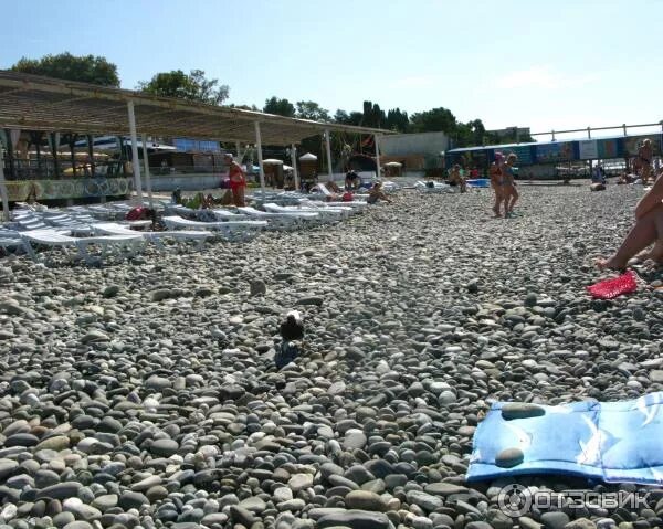 10 популярных пляжей Сочи - Российские морские курорты