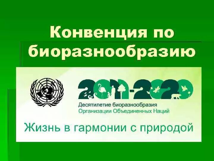 Охрана всемирного культурного и природного наследия презентация. Конвенции оон о биологическом разнообразии 1992. Cites конвенция. Конвенции оон о биологическом разнообразии 1992. Конвенция о биологическом разнообразии 1992.