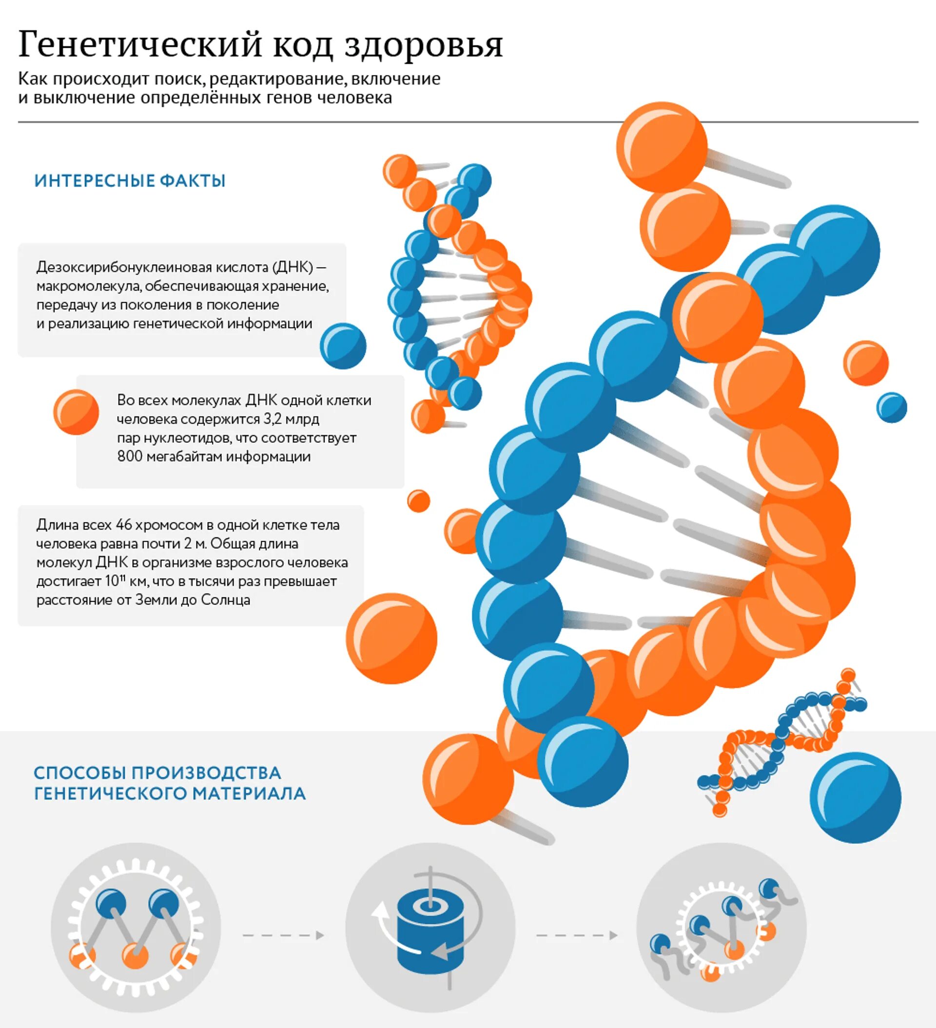 Код здорового человека. Генетический код человека. ДНК человека генетический код. Генетика человека. ДНК картинки.