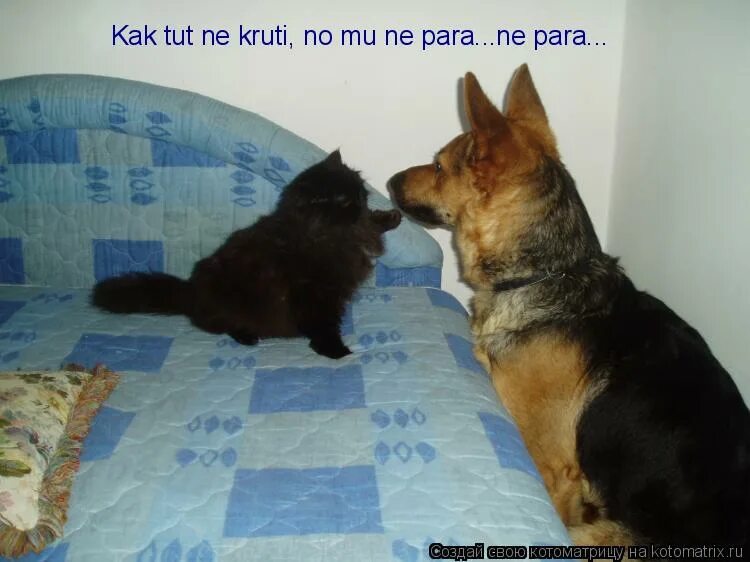 K u k t u z. K u k t u z. K u k t u z. провинциальная реклама. у нас весело.