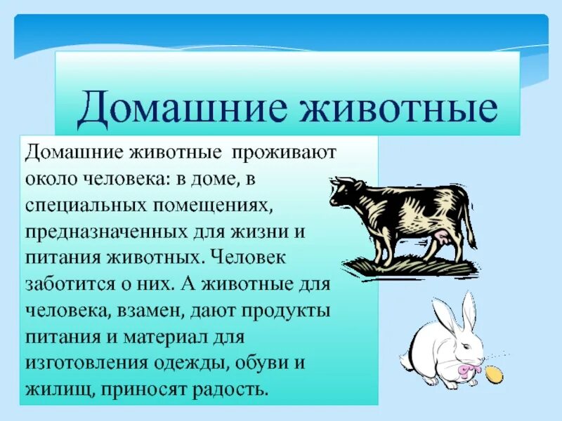 Рассказ о заботе о человеке. Презентация про домашних животных. Слайды про домашних животных. Рассказ одомагних животных. Презентация домашнее животное.