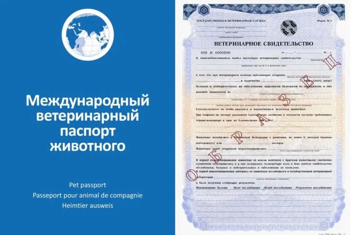 Номер 1 для животных. Ветсправка для перевозки животных. ветеринарный сертификат о вакцинации животных.