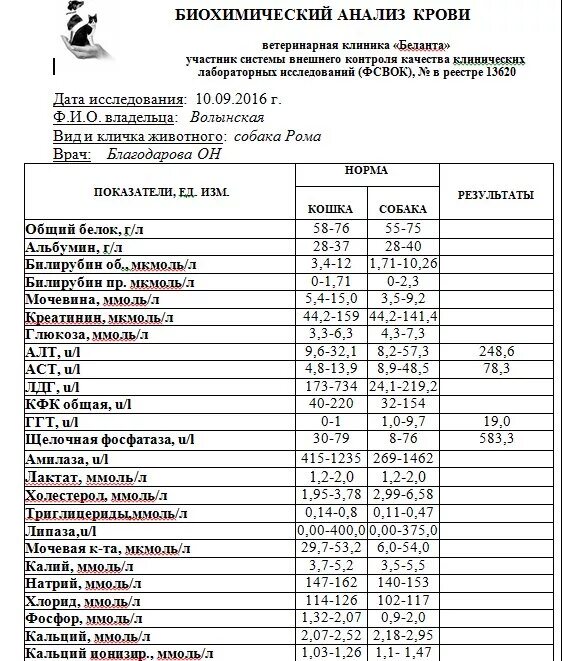 Анализ биохимия зачем. Анализ биохимия крови в поликлинике. результат анализа биохимический анализ крови. биохимия крови пример анализа. биохимический анализ крови 8 основных показателей.