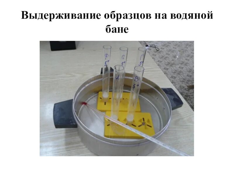 Водяная баня пробирки. Водяная баня для лаборатории для пробирок с термометром. Водяная баня для пробирок. Водяная баня лабораторная для пробирок. Проба на водяной бане.