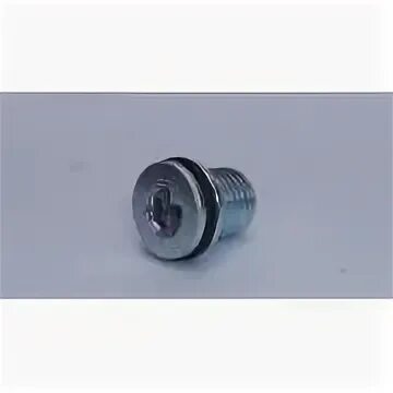 31029-1701098 пробка магнитная. Сливная пробка газель некст. Пробка поддона 406 дв. 5. Сливная пробка кпп зил 130.