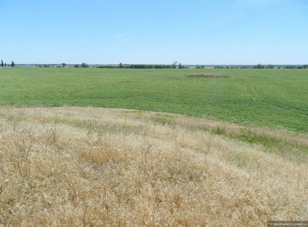 Курган на поле. Курганное поле. курган в поле. курган в степи. херсонские поля.
