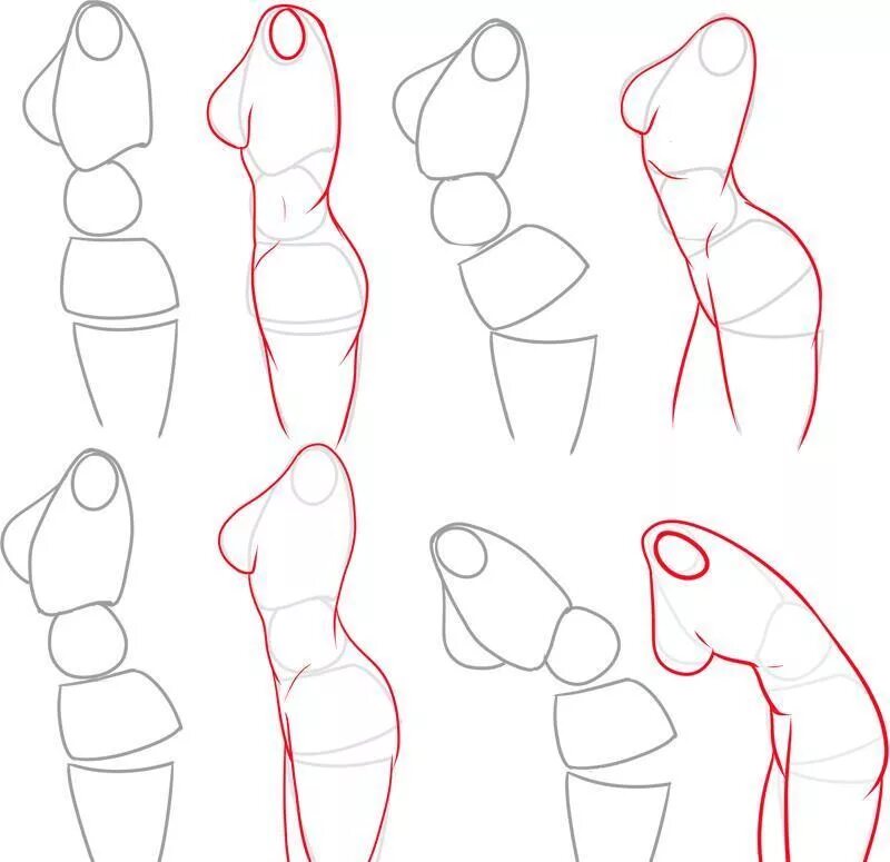 Тела карандашом поэтапно. Анатомия тела для рисования. Поэтапное рисование тела. Тело карандашом для начинающих. Уроки рисования девушек.