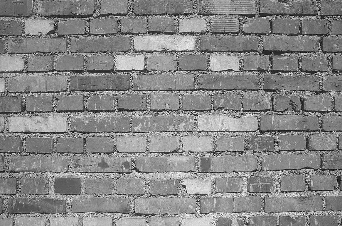 That wall. Abbie's room.