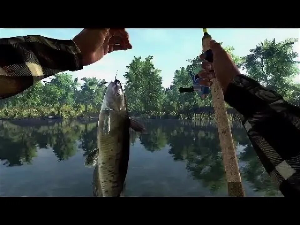 Fishing planet ильная рыба. Fishing planet ильная рыба. Рыбы фишинг планет. Река мадвотер fishing planet. Монстр щукожор эмеральд фишинг планет.
