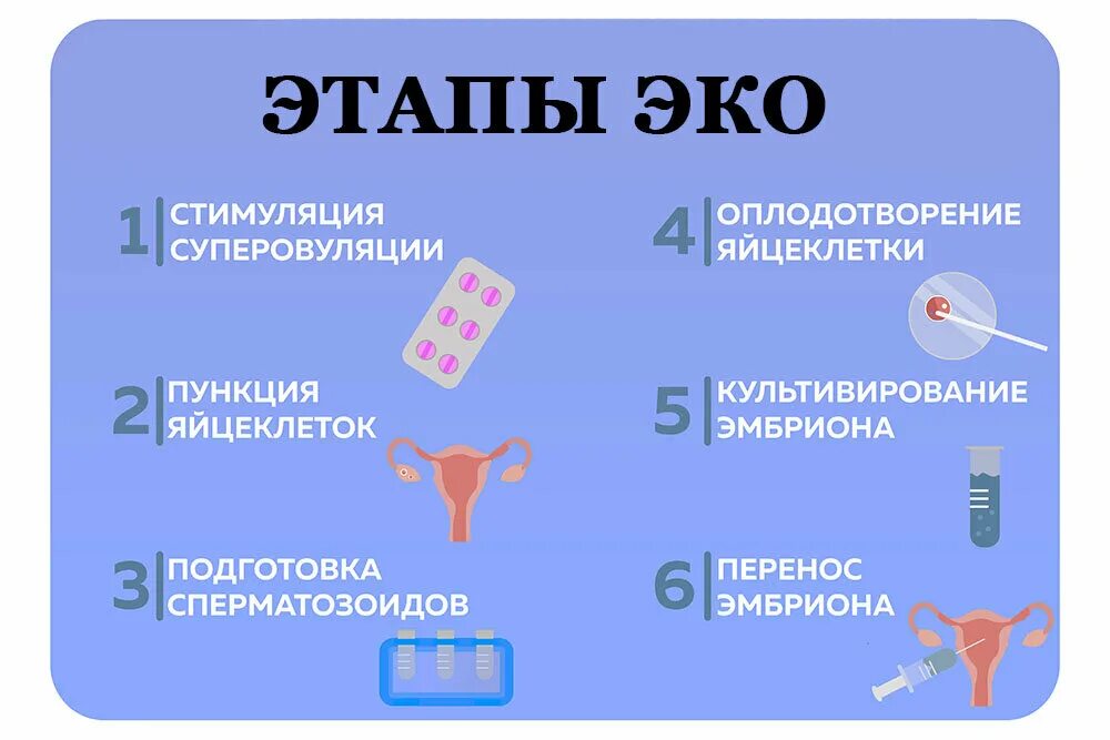 Чем оплодотворение отличается от. Этапы процедуры эко. Эко оплодотворение этапы. Основные этапы экстракорпорального оплодотворения. Этапы эко по дням.