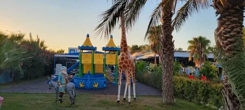 Marine family club hotel отзывы 2024
