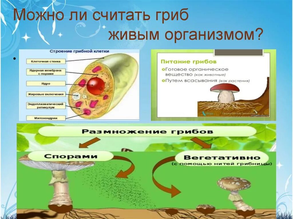 Грибы на живых организмах. Признаки живых организмов грибы. Грибы питающиеся живыми организмами. Признаки живого - гриб. Питание клетки гриба