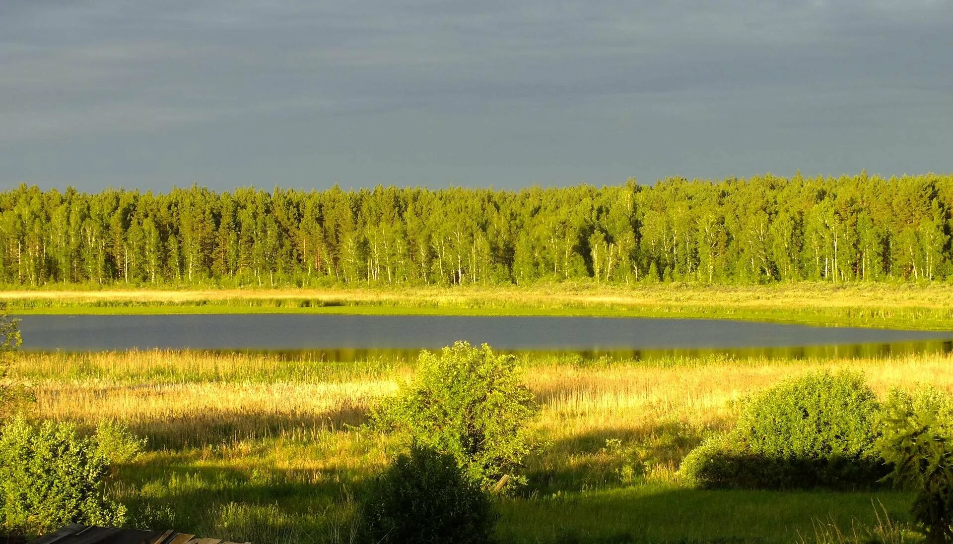 Равнины Курганской области. Лесостепь Забайкалья. Рельеф Курганской области. Курганская область формы рельефа Курганской области. Западно сибирская равнина реки озера города