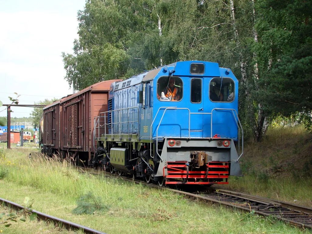 Ппжт ногинск. ТГМ Ногинское ППЖТ. Ногинский Локомотив ППЖТ. Тгм6 тепловоз. Тгм4-2813.