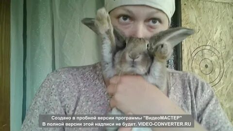 Режу кролика