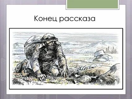 Джек лондон рассказ жизни