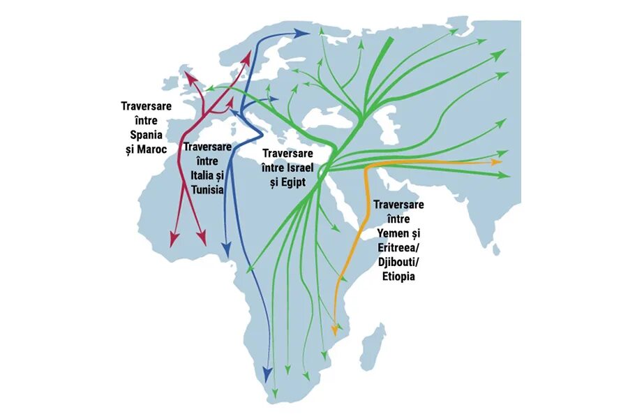 Node migrations