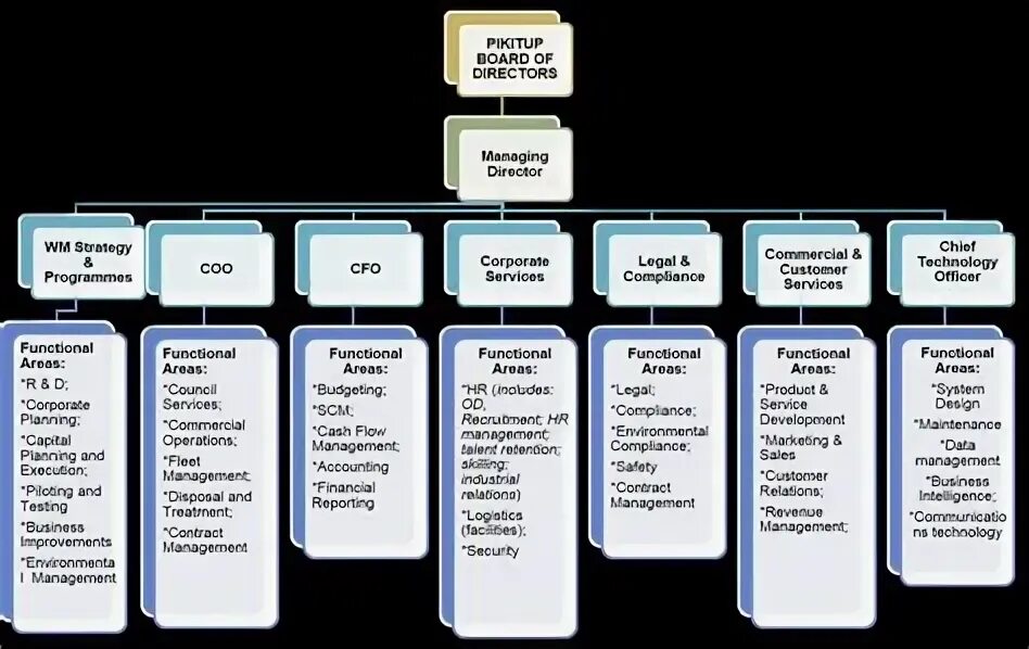 Functional structure of the Company. Report структура. Company structure. Data Governance структура.