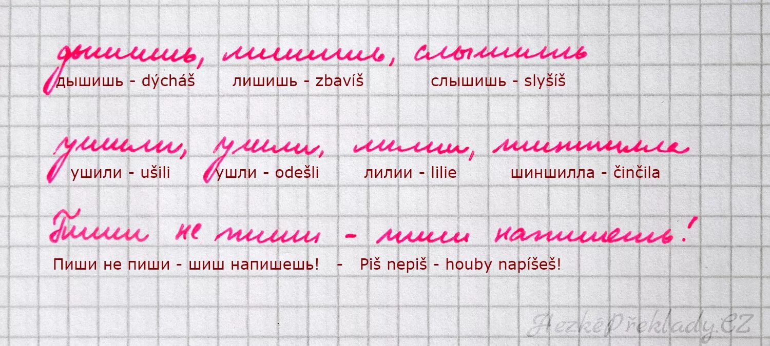 Шиншилла написание. Русская пропись для иностранцев. Русский почерк для иностранцев. Русские прописи для иностранцев. Шиншилла слово