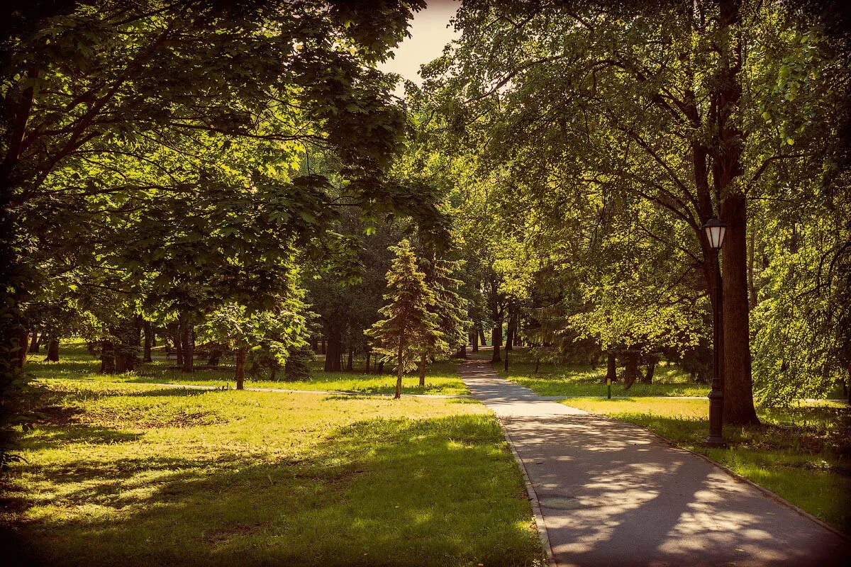 Старр парк китай. Аня тейлор джой люди икс. Фильм бравл старс тайна старр парка. Тимоти шаламе дюна. Нэнси дрю 2021.