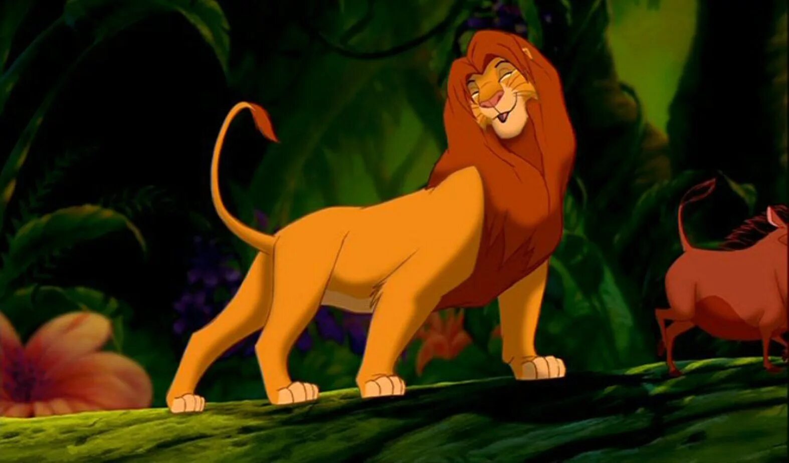 Лев картинка для раскрашивания. Знаменитые мультфильмы диснея. Король лев 2 гордость симбы 1998 кову. Король лев кову. Лев не против.