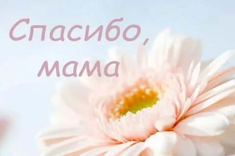 Нежный е
