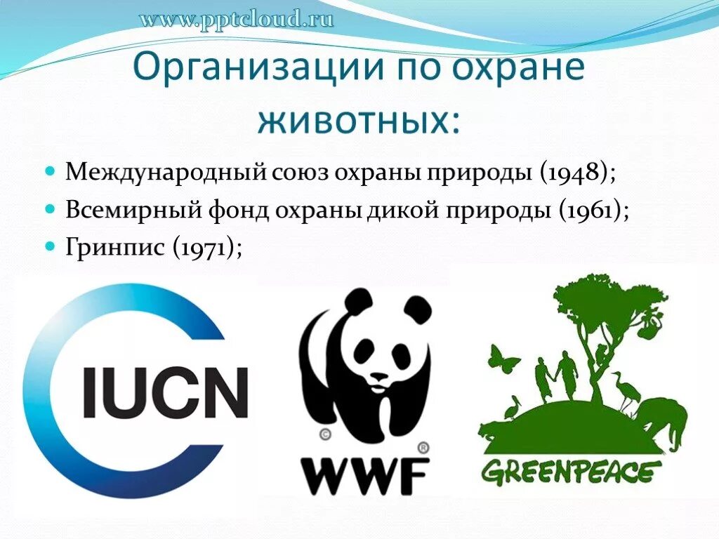 Международный всемирный фонд. Международный Союз охрана природы ВВФ. Организации по защите животных. Международные организации по защите животных. Организации по охране животных.