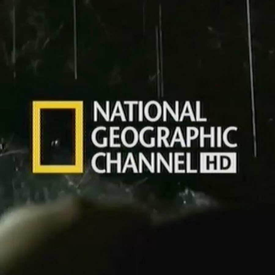 National Geographic Телеканал. National Geographic channel логотип.