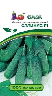 Купим семена огурцов оптом