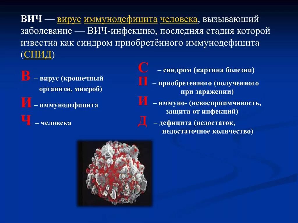 Стадии спид инфекции. Вызываемые заболевания ВИЧ. Последняя стадия ВИЧ инфекции. Заболевание СПИДОМ вызывают.