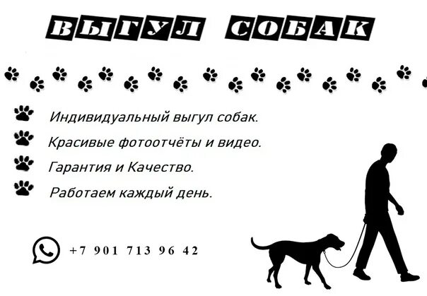 Объявление выгул собак. Выгул собак объявление. объявление по выгулу собак. объявление о выгуле собак за деньги. объявление по выгулу собак образец.