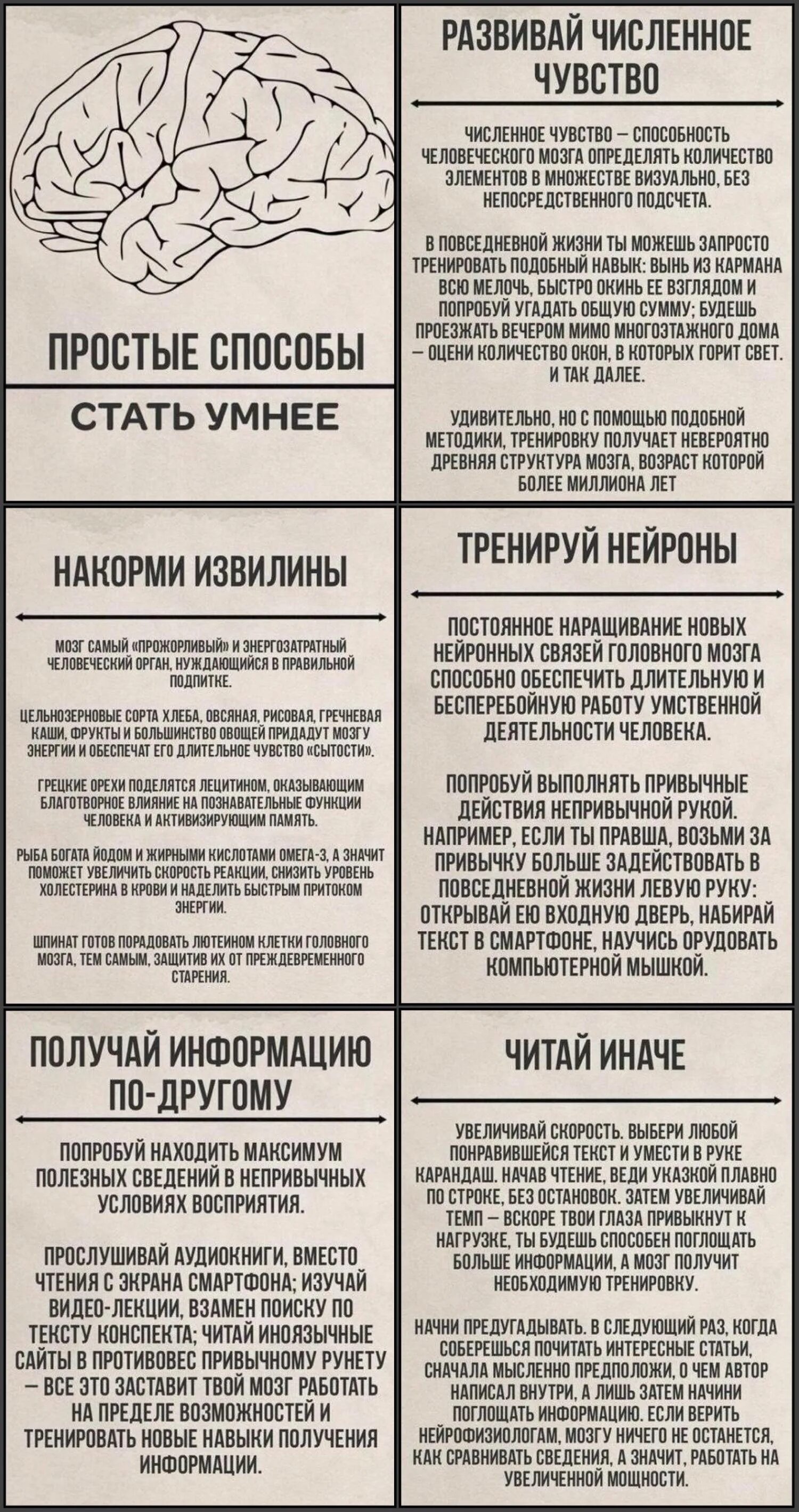 Как стать мудрым. Как стать умнее. способы как стать умнее. способы развития мозга. мозг статьи.