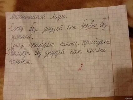 Тетрадь соседа