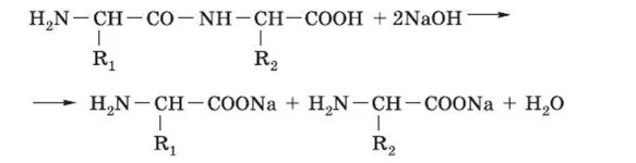 Реакцию кислотного гидролиза дипептида. Кислотный гидролиз дипептидов. Гидролиз дипептида щелочью. Гидролиз дипептидов реакция. При сжигании дипептида природного